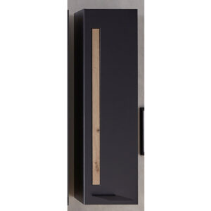 Витрина 10J4GH13 Loft-Two